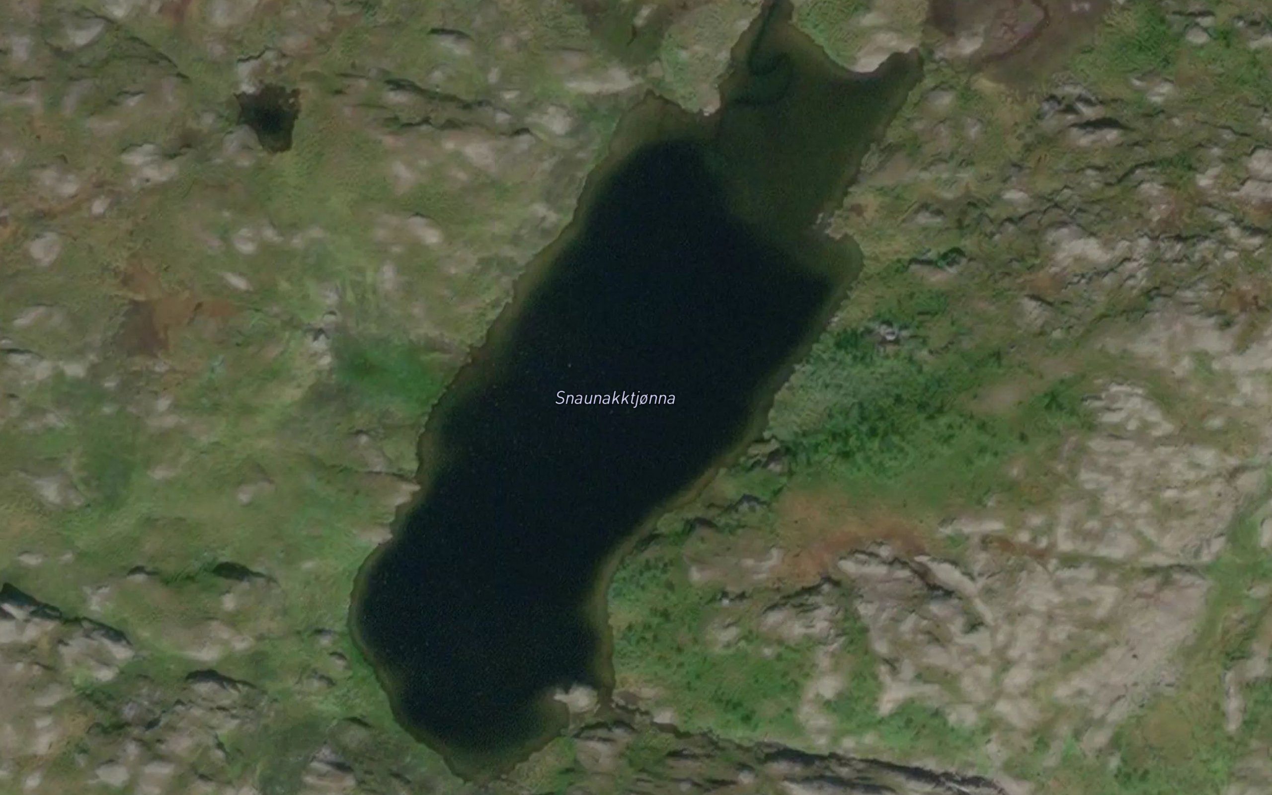 Snaunakktjorna