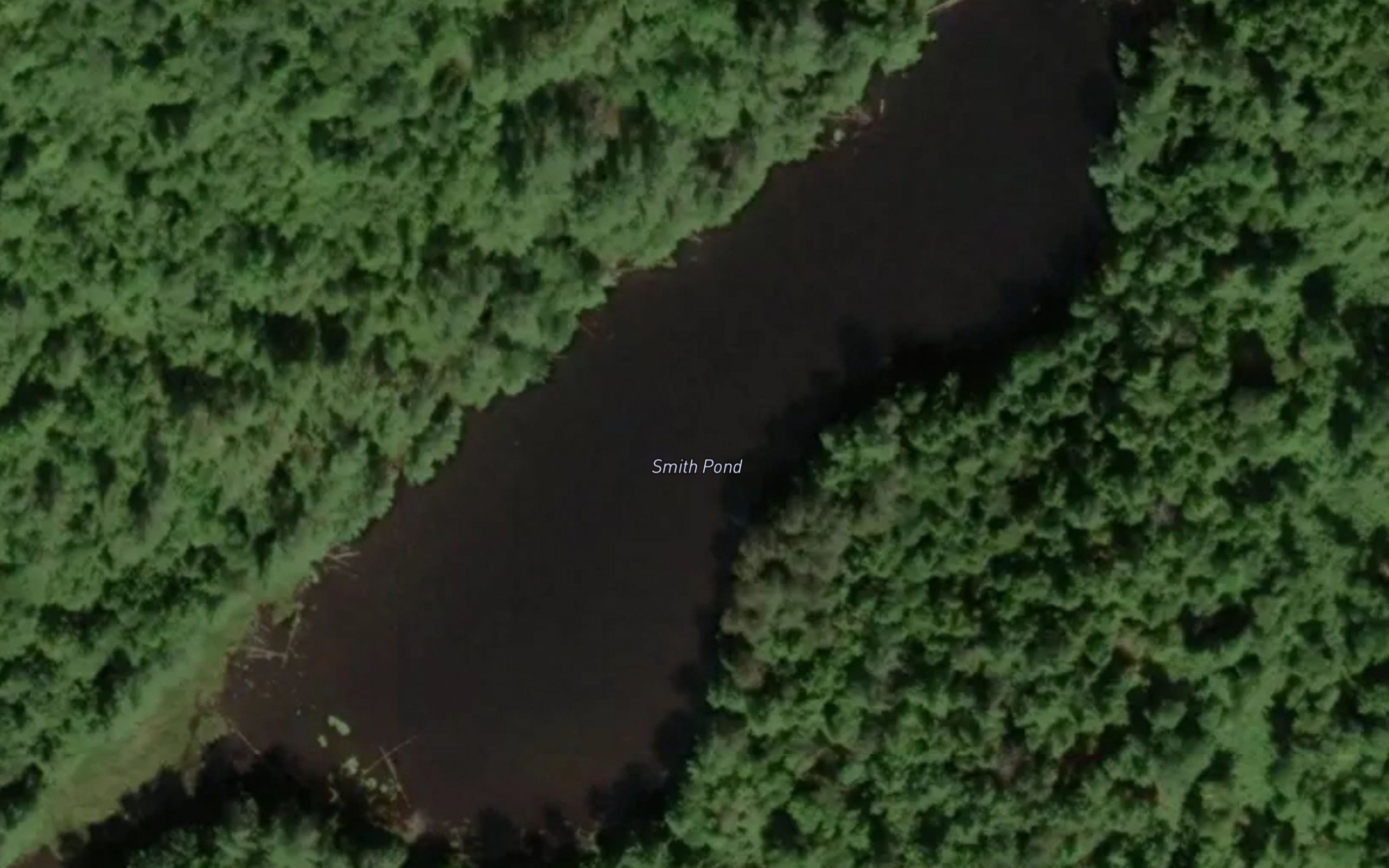 Smith Pond