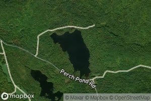 Perch Pond