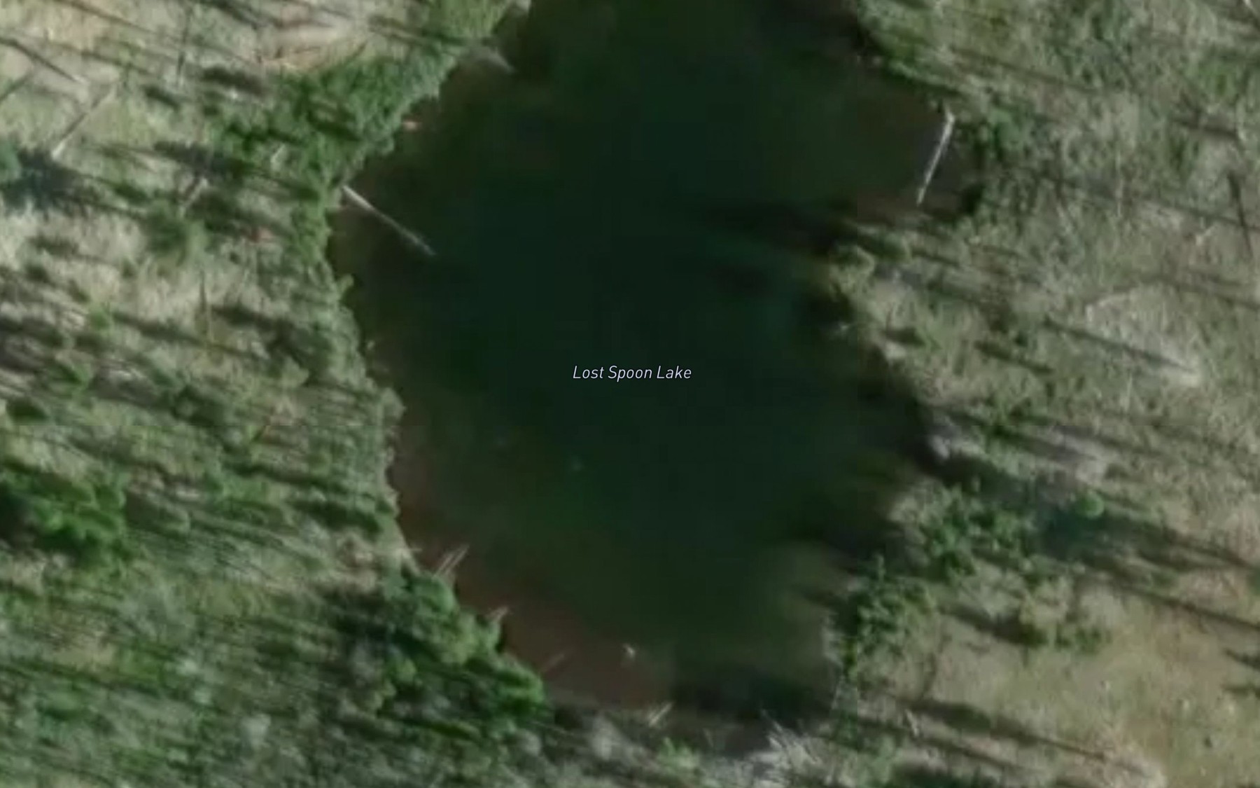 Satellite map of the Lost Spoon Lake