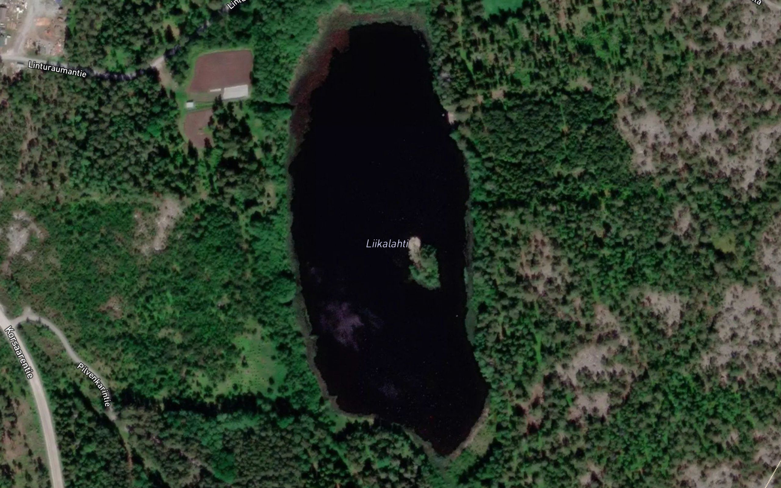 Liikalahti