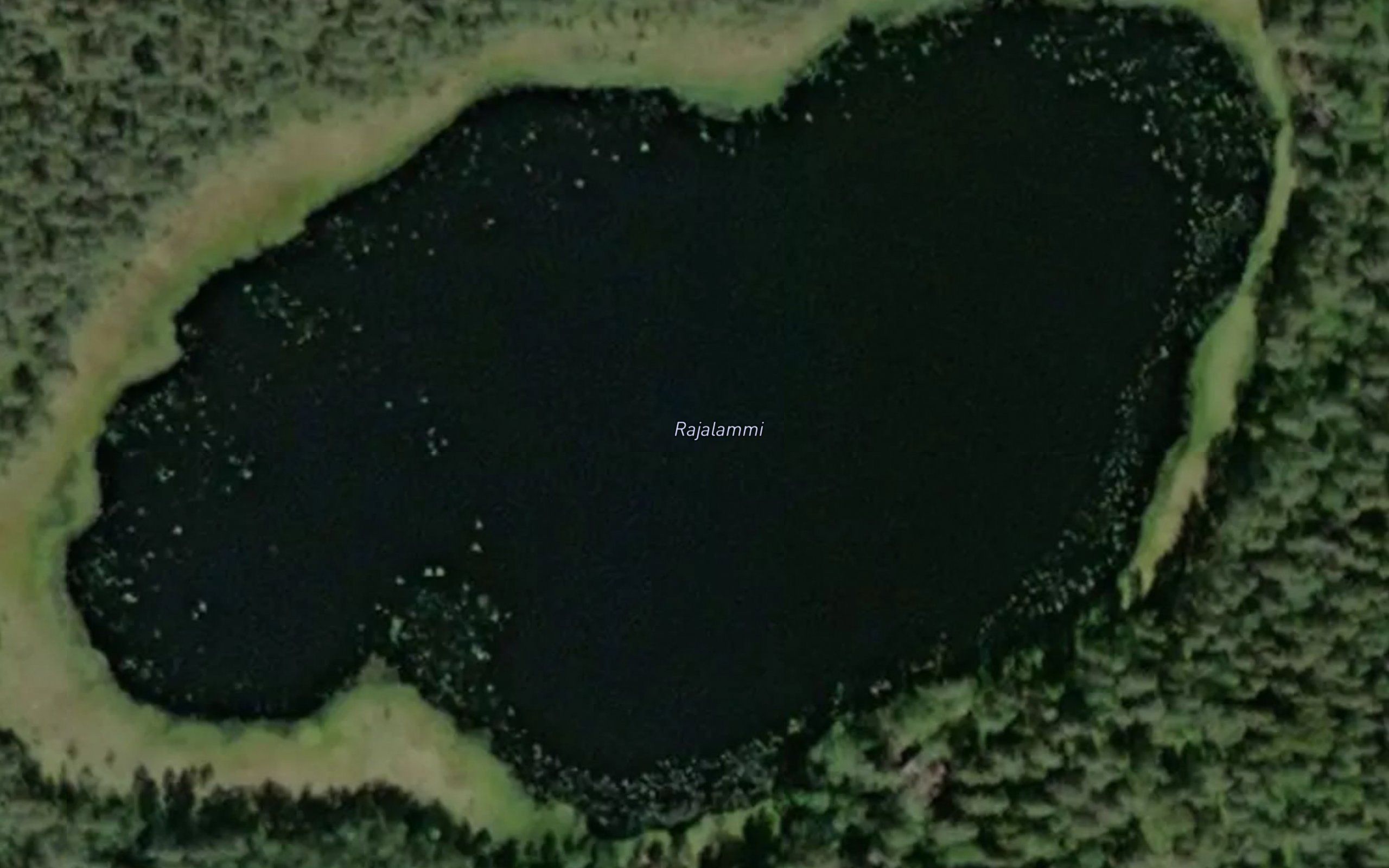 Rajalammi