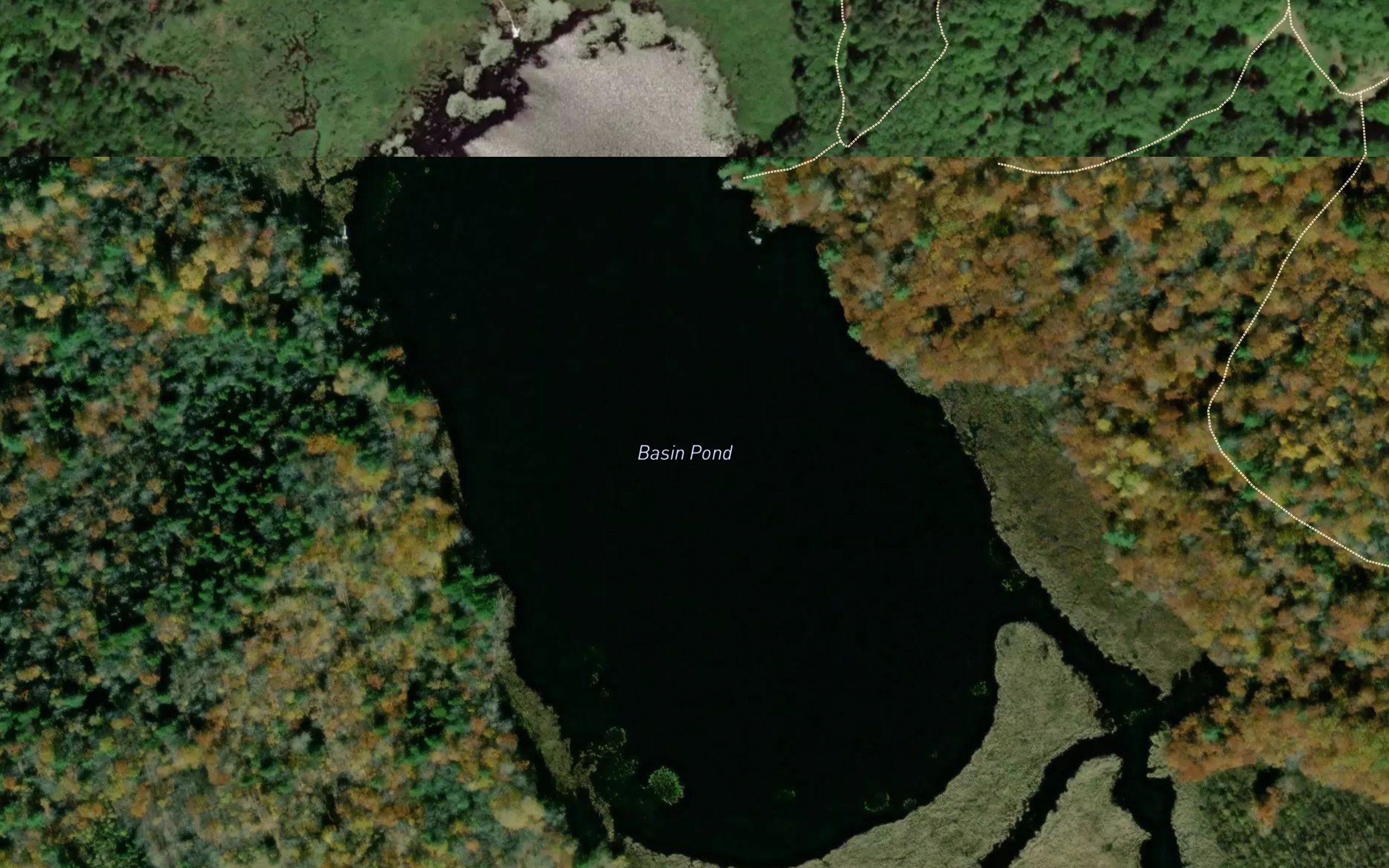 Basin Pond