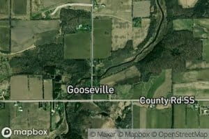 Gooseville Millpond 40