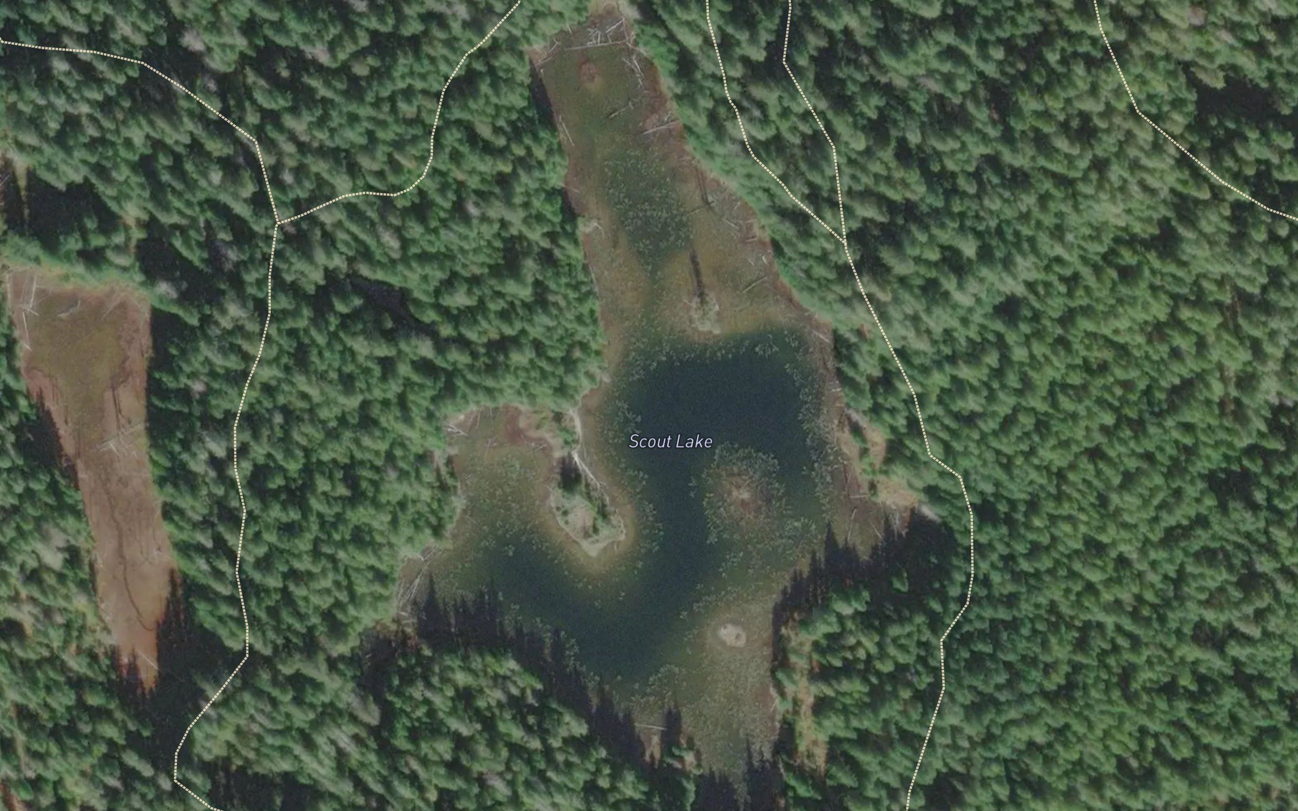 Scout Lake