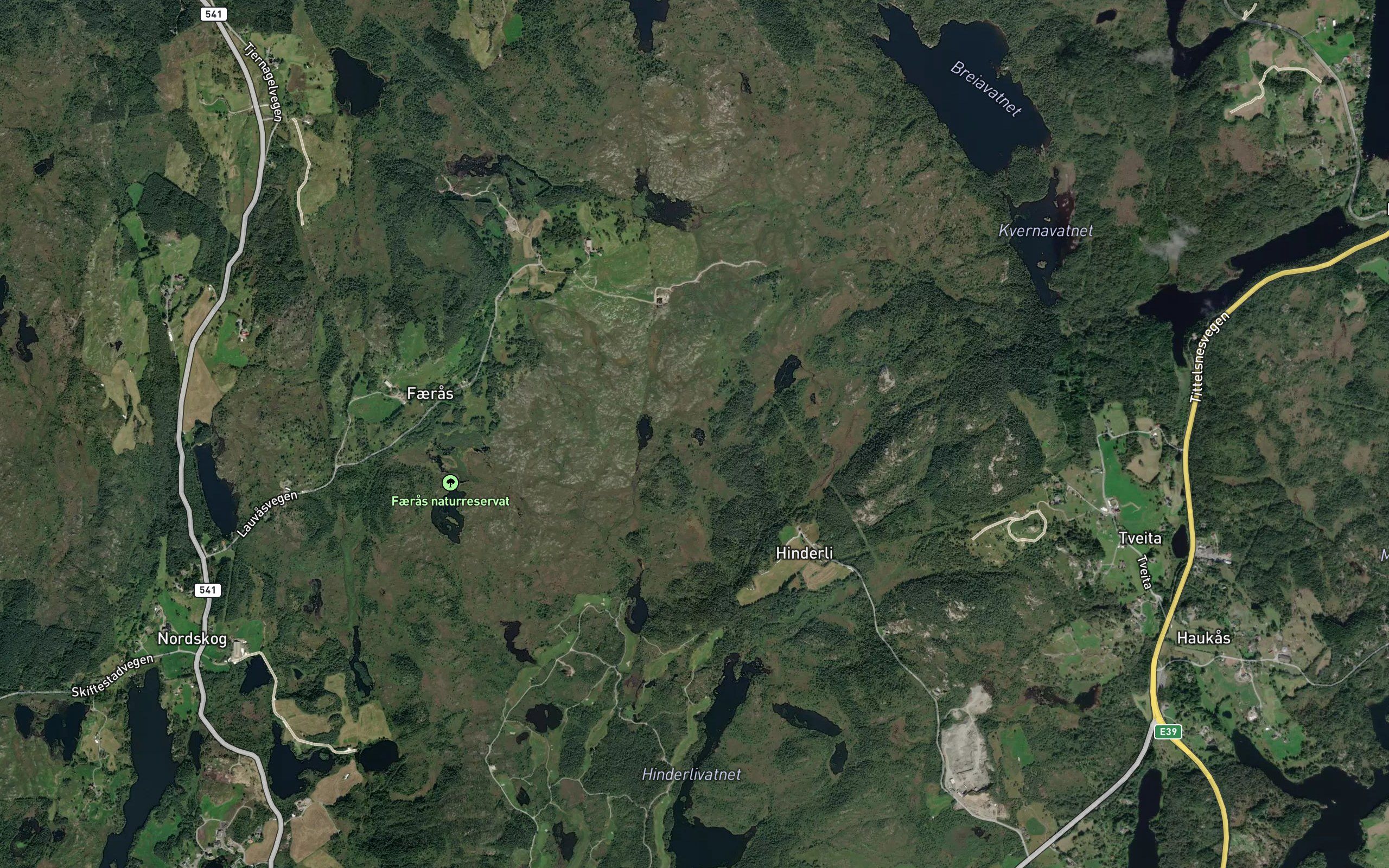 Lauvastjorna