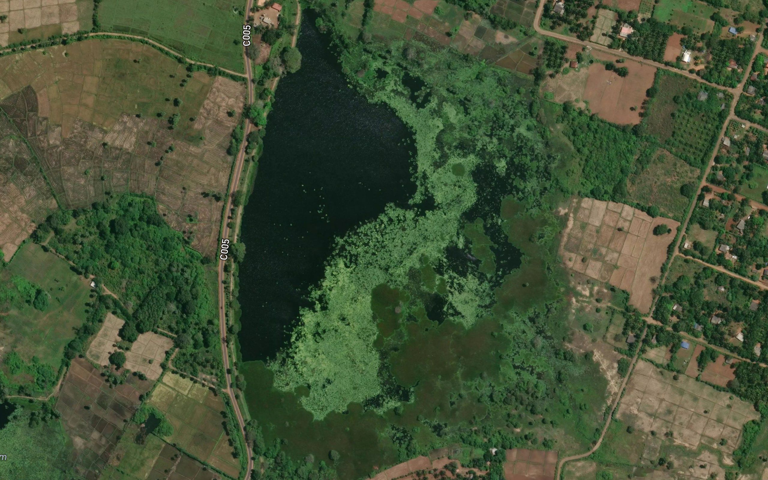 Ellapparmaruthan Kulam