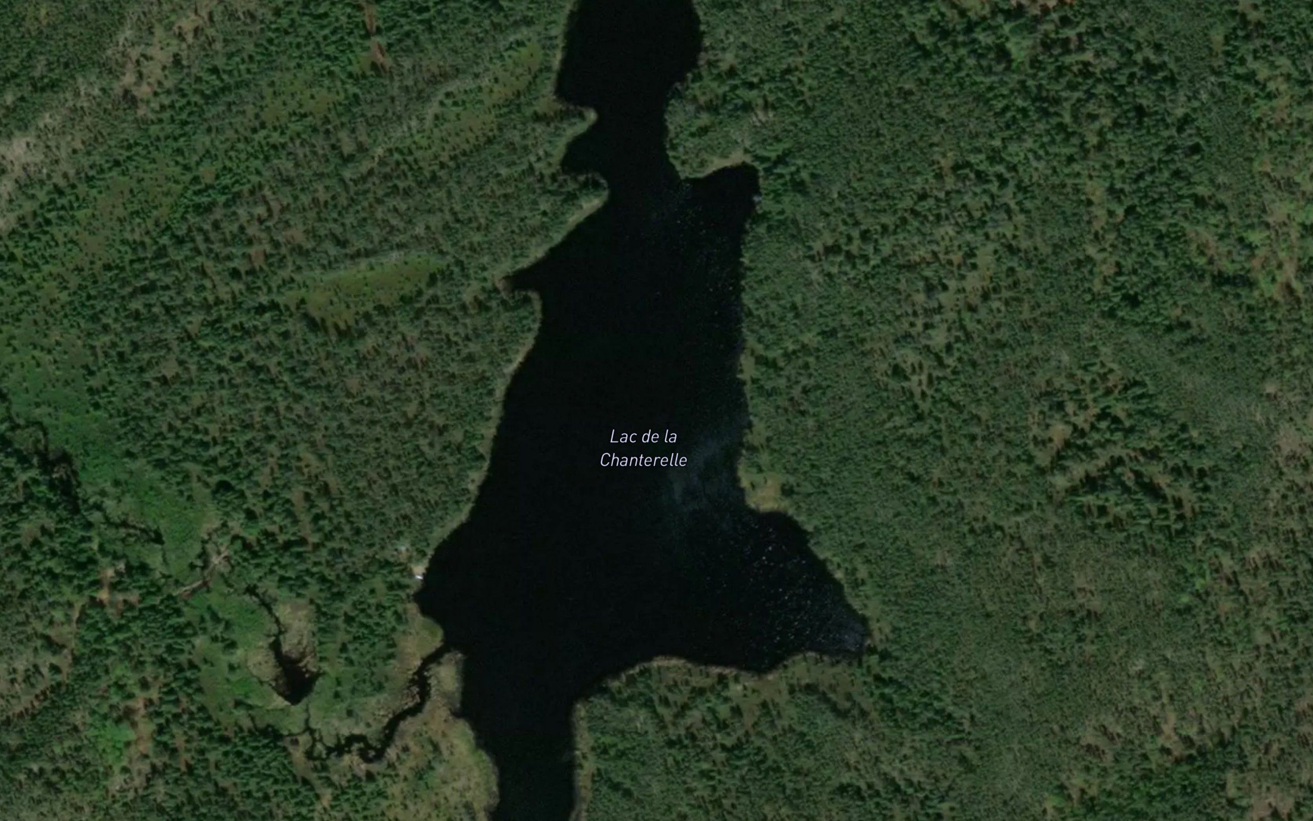 Lac de la Chanterelle