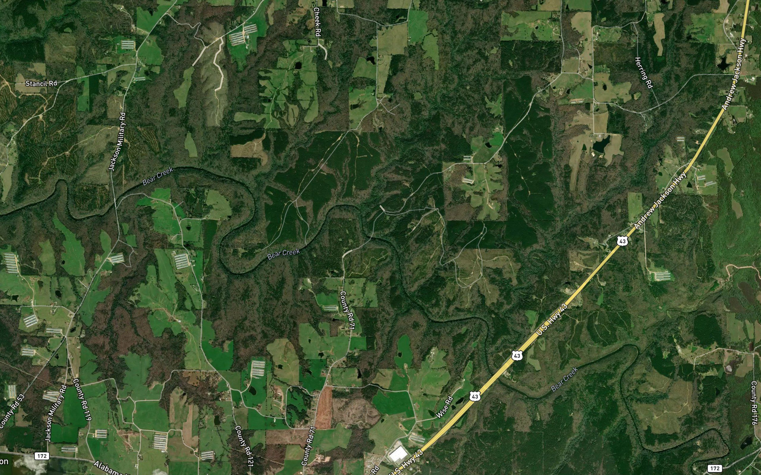 Whitehead Spring Branch