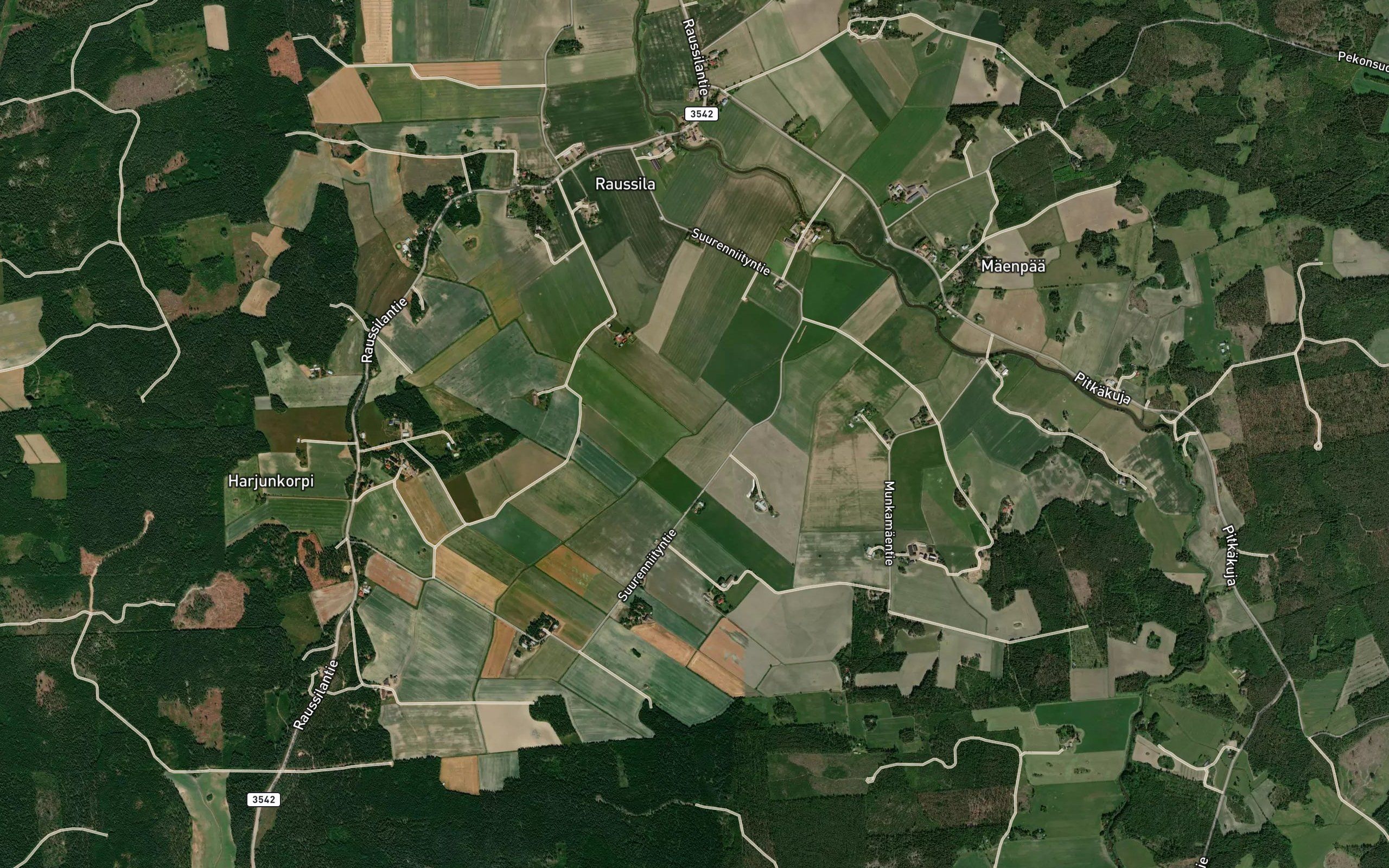 Saarenniitynviepa