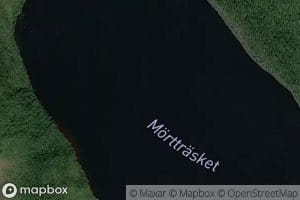 Moerttraesket