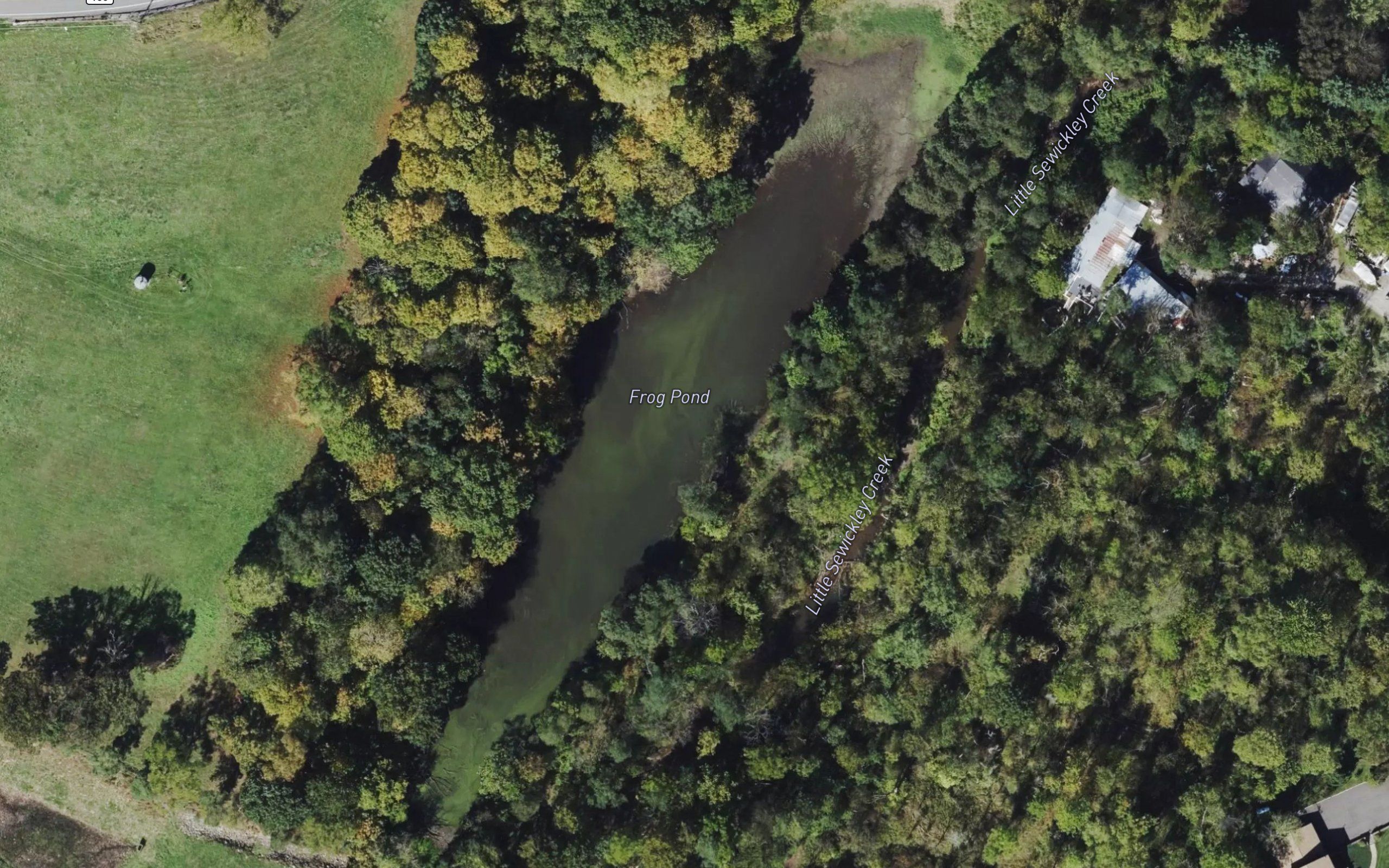 Frog Pond