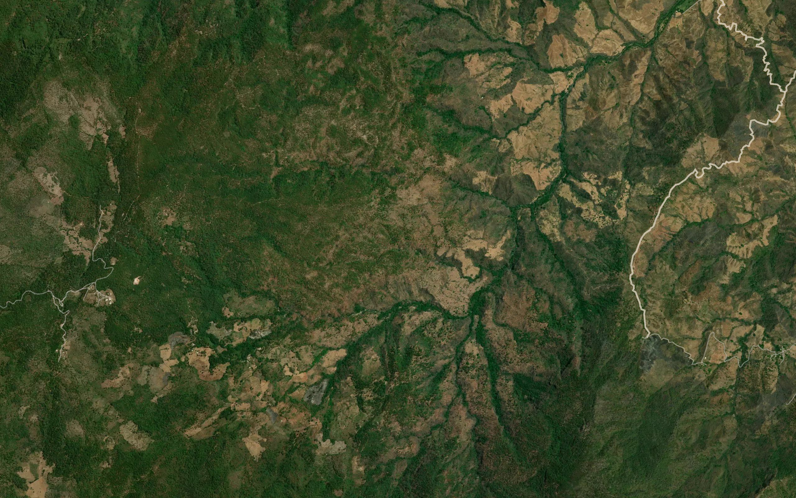 Barranca Alisos