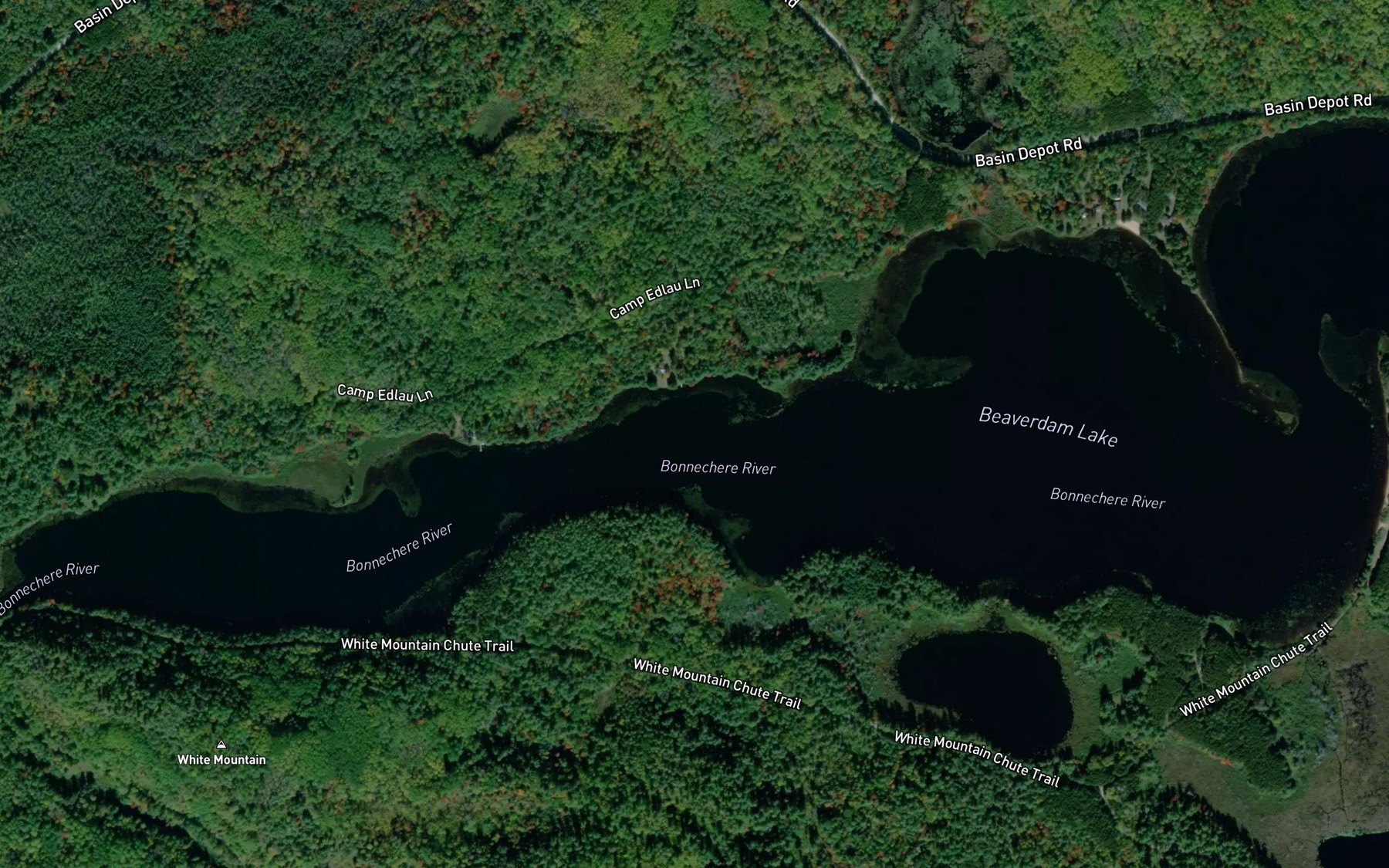 Satellite map of the Beaverdam Lake