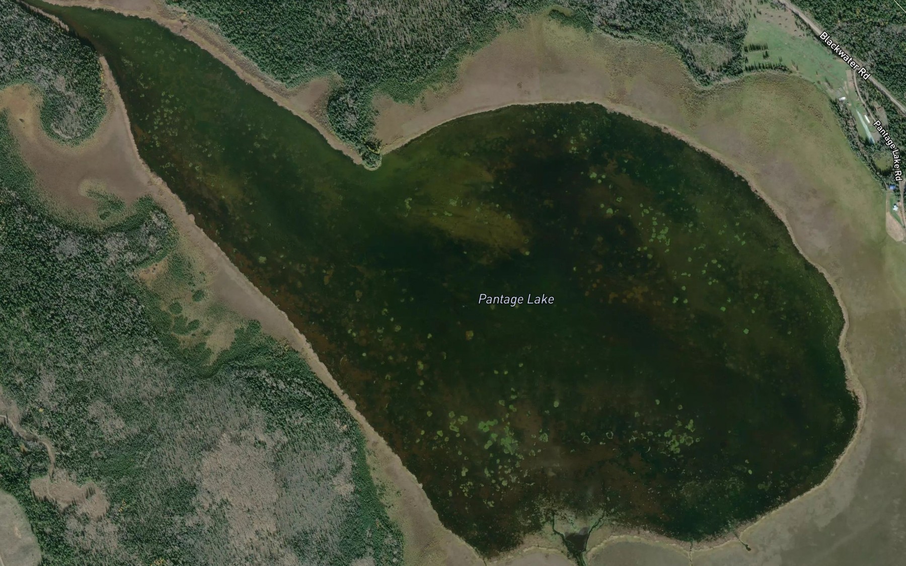 Satellite map of the Pantage Lake