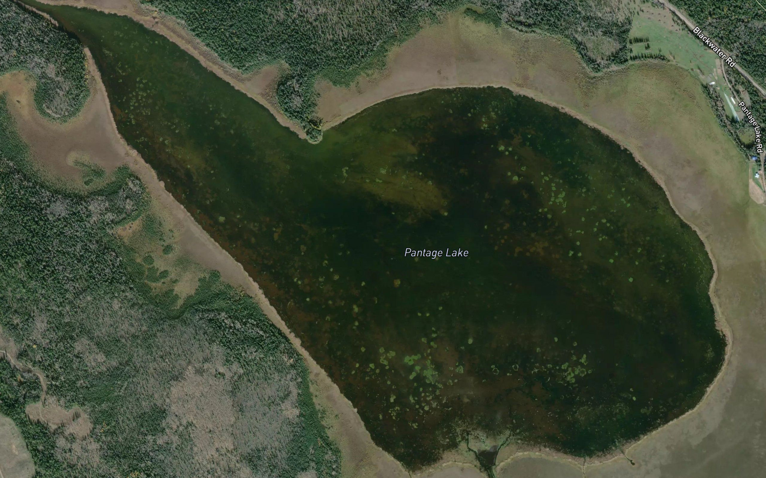 Pantage Lake