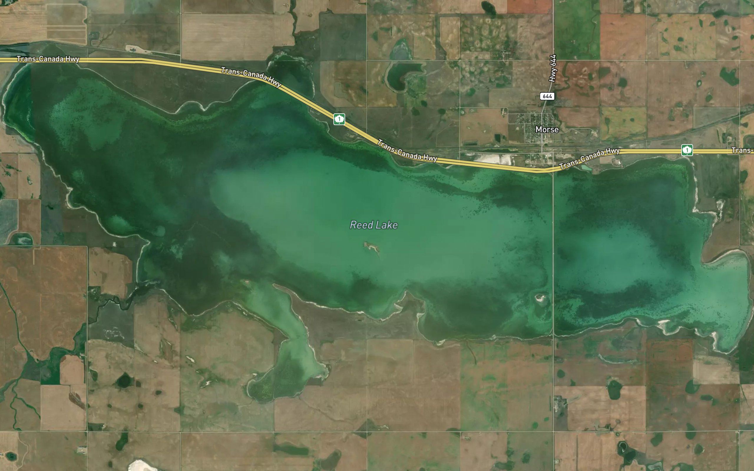 Reed Lake