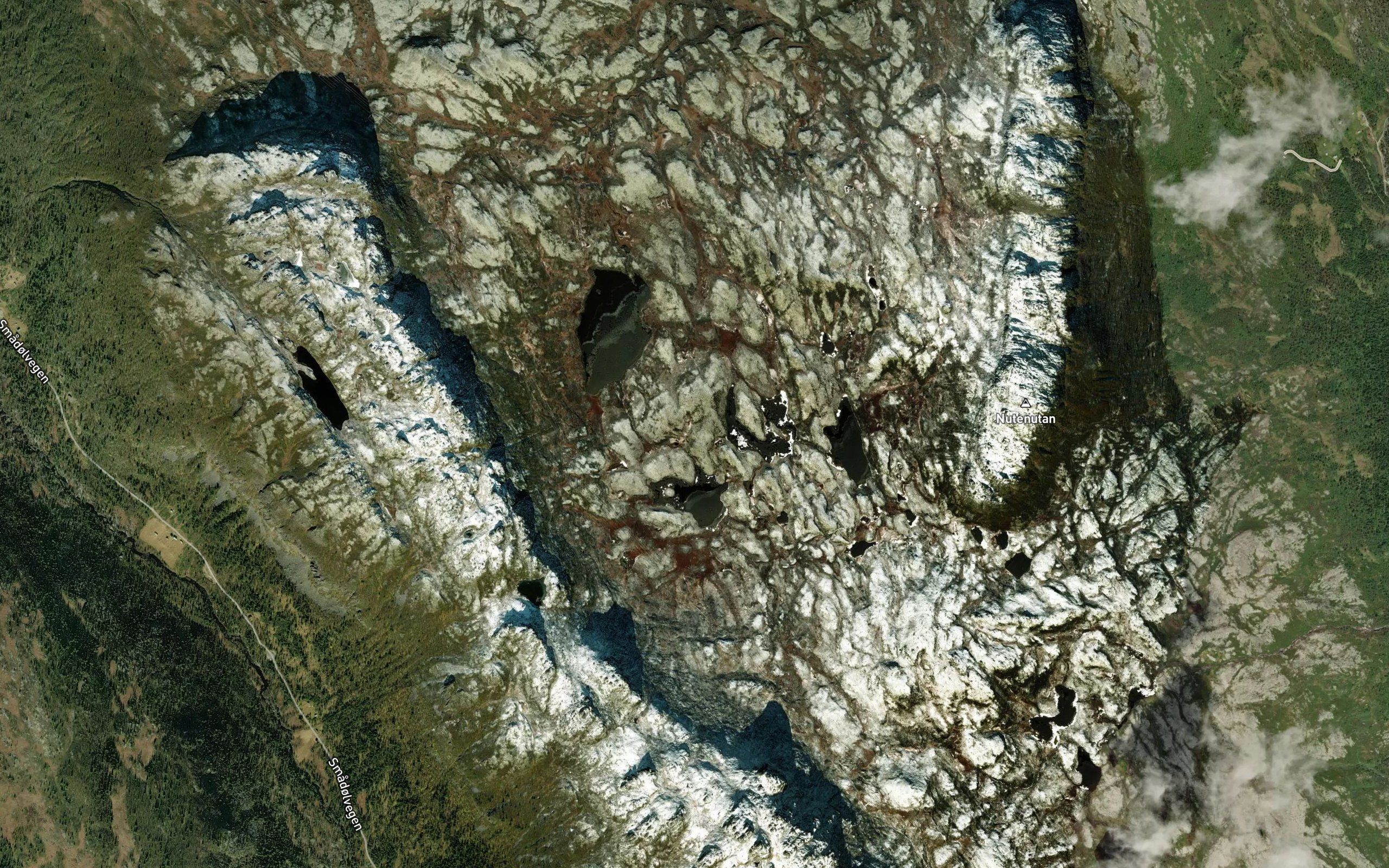 Gampskardtjornan