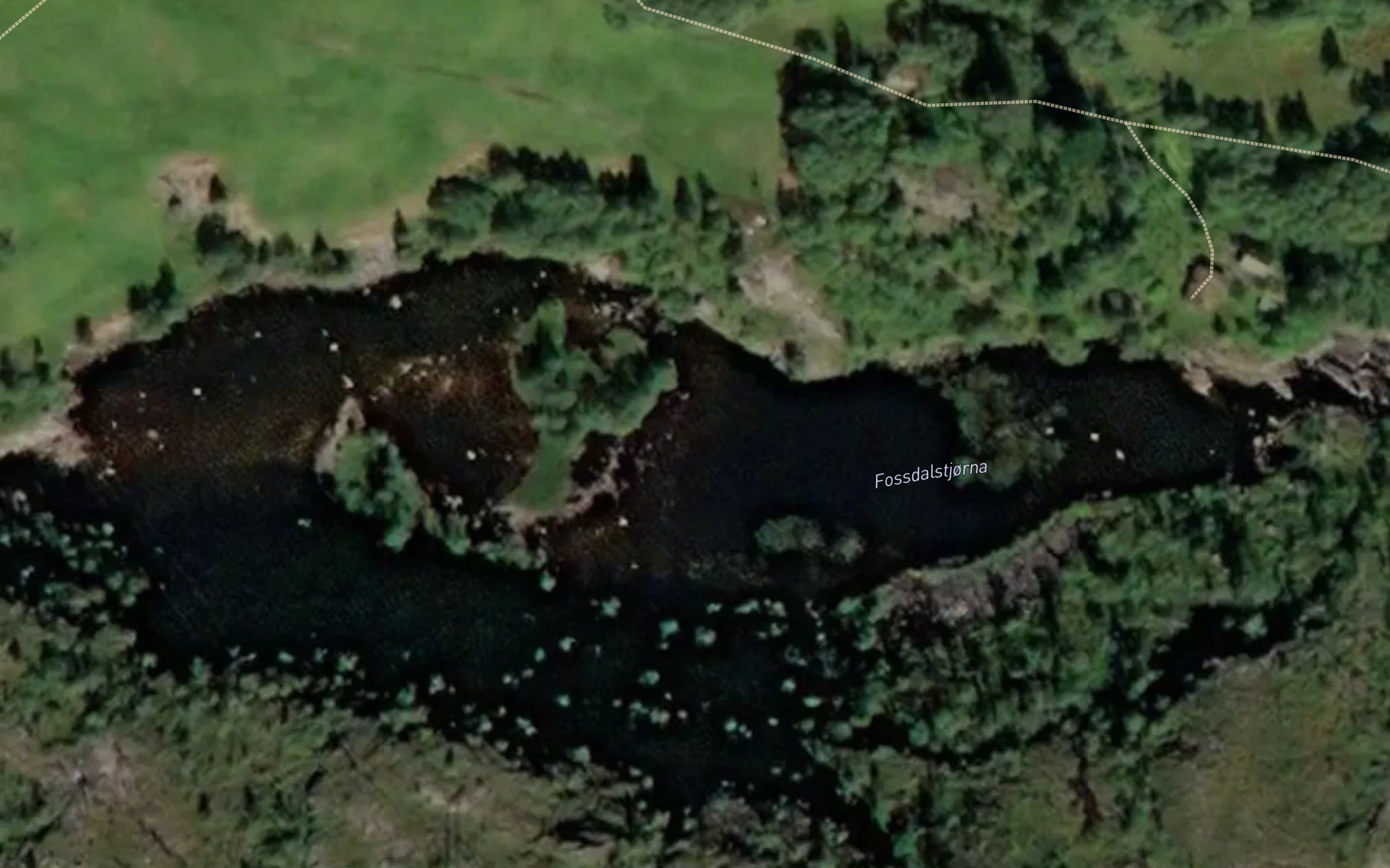 Fossedalstjorna