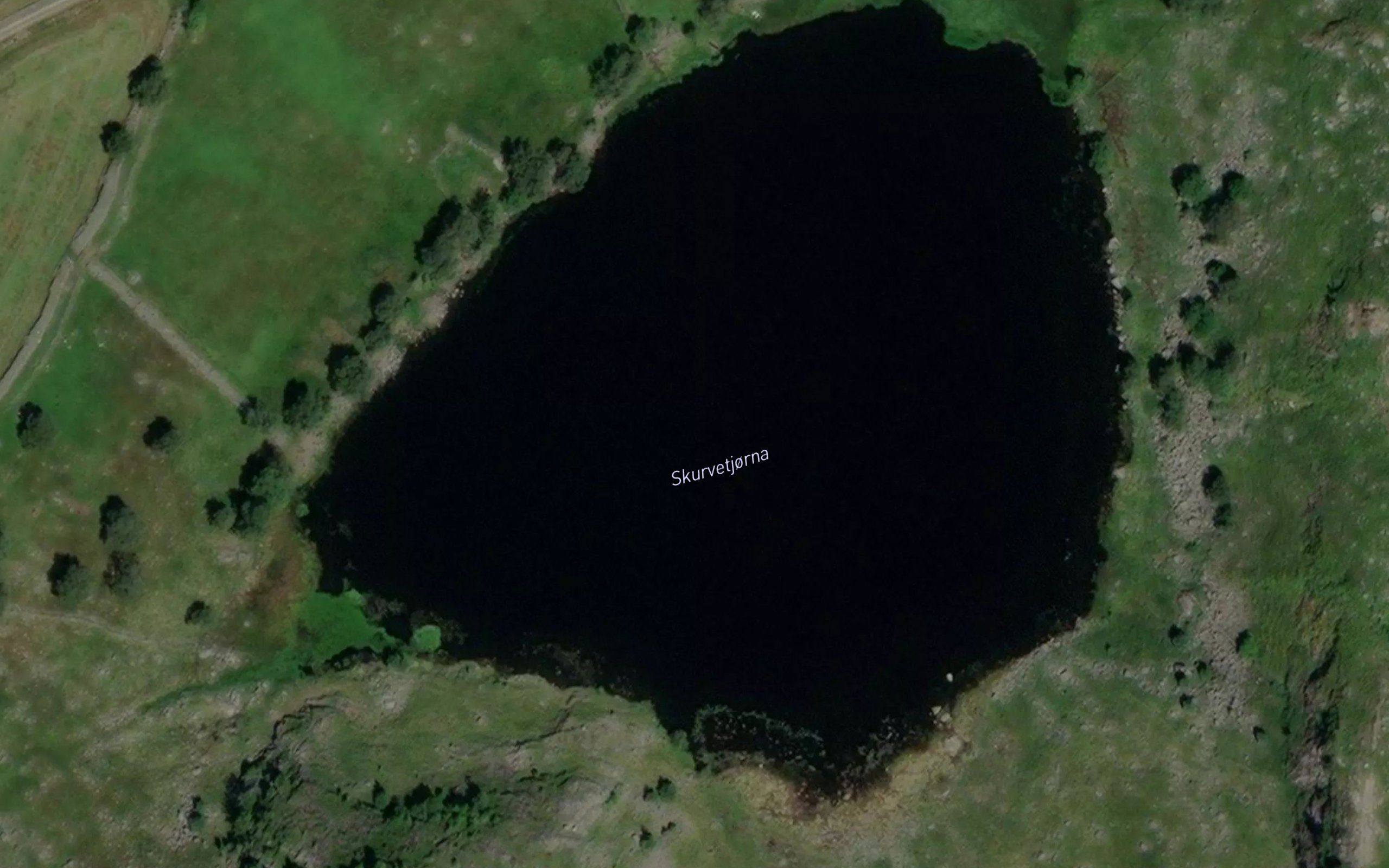 Skurvetjorna