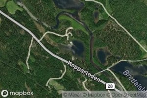 Nesstjonna