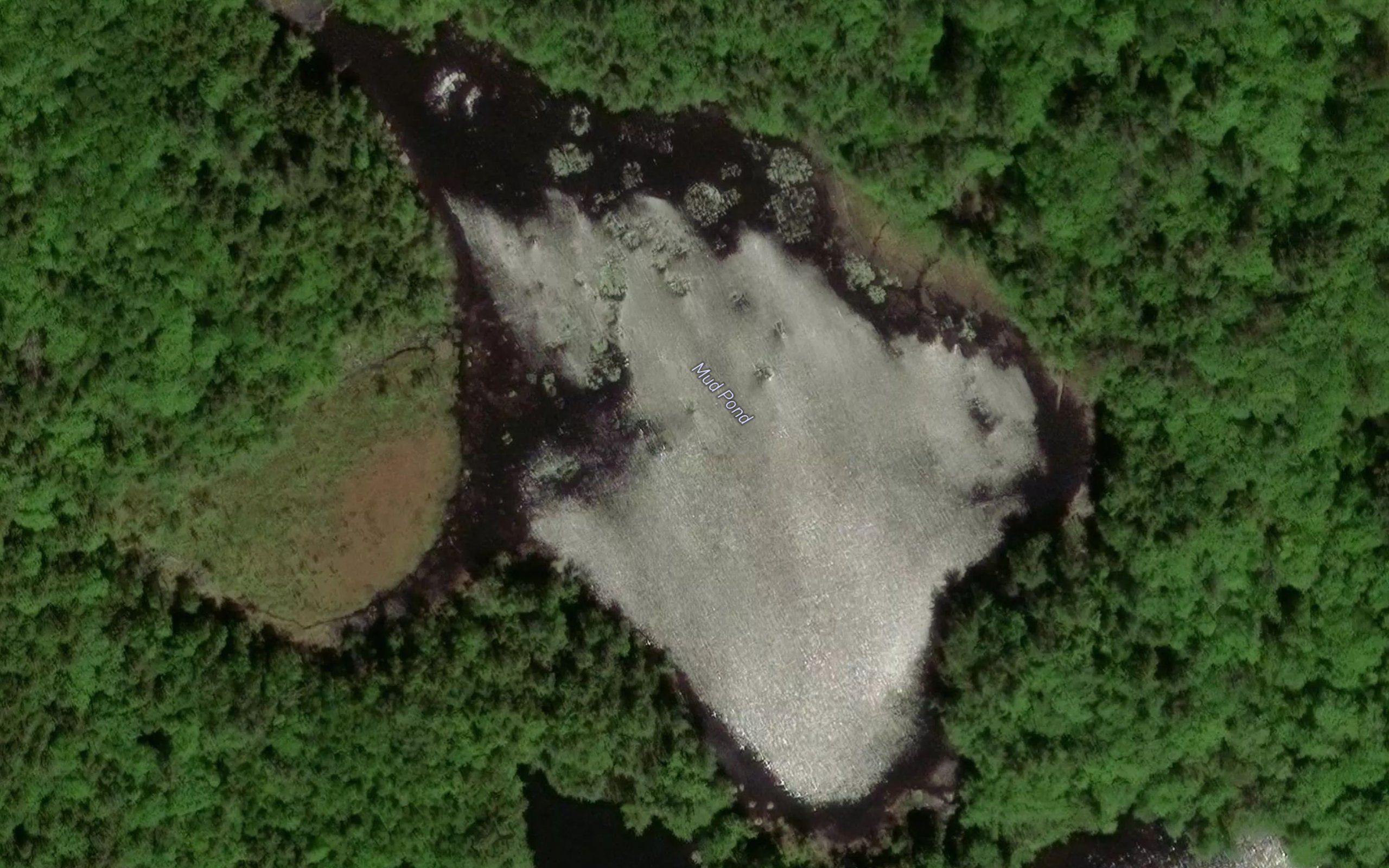 Mud Pond