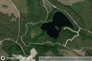 Heinalamminpuro