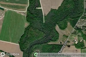 Jarmans Branch
