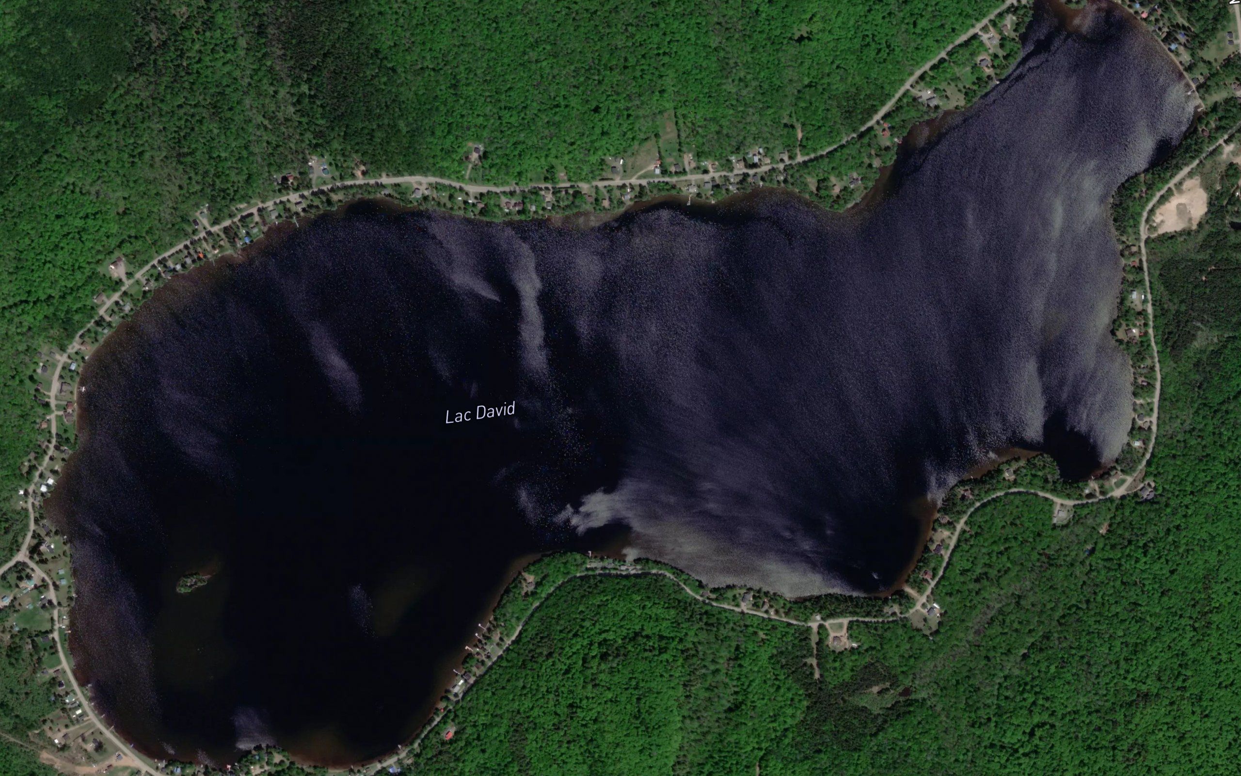 Lac David