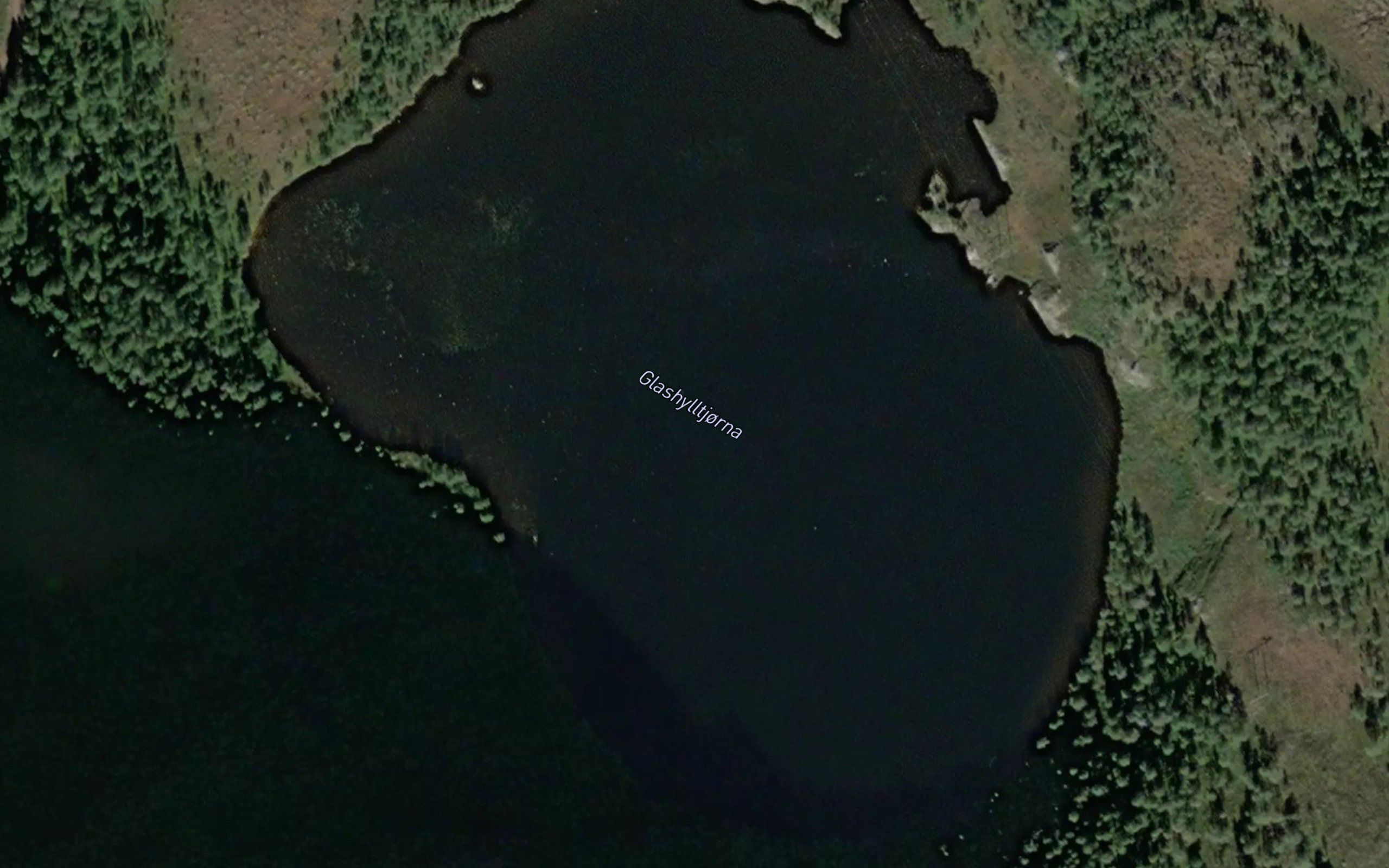 Glashylltjorna