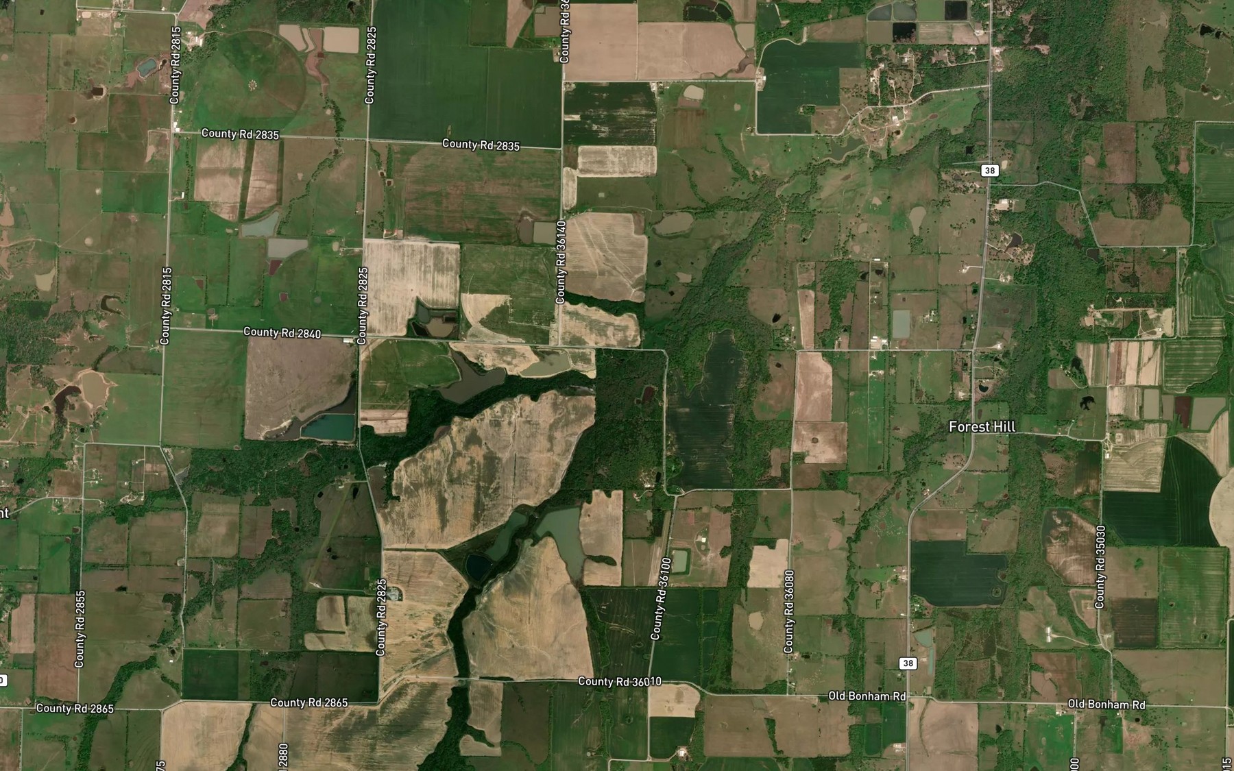 Satellite map of the Holt Creek