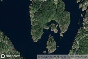 Grovika