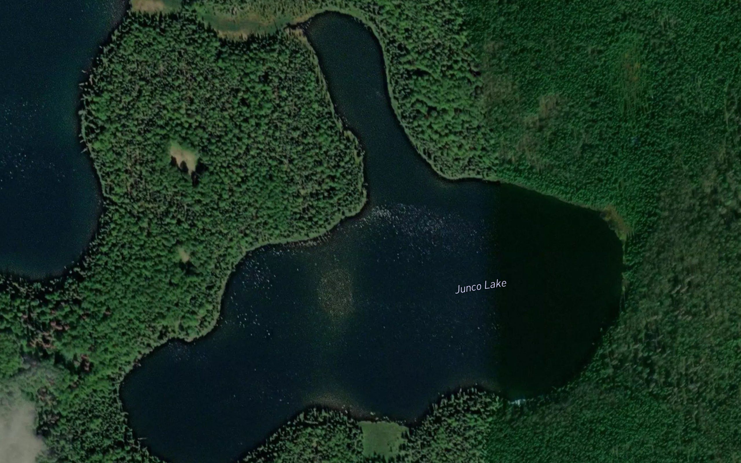 Junco Lake