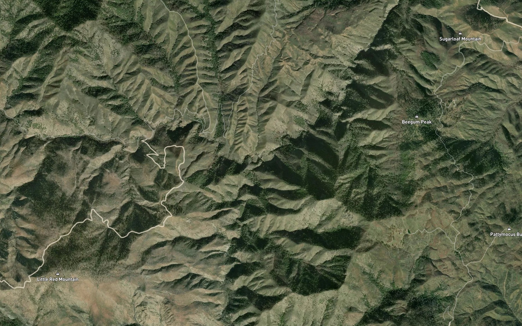 Satellite map of the South Fork Beegum Creek