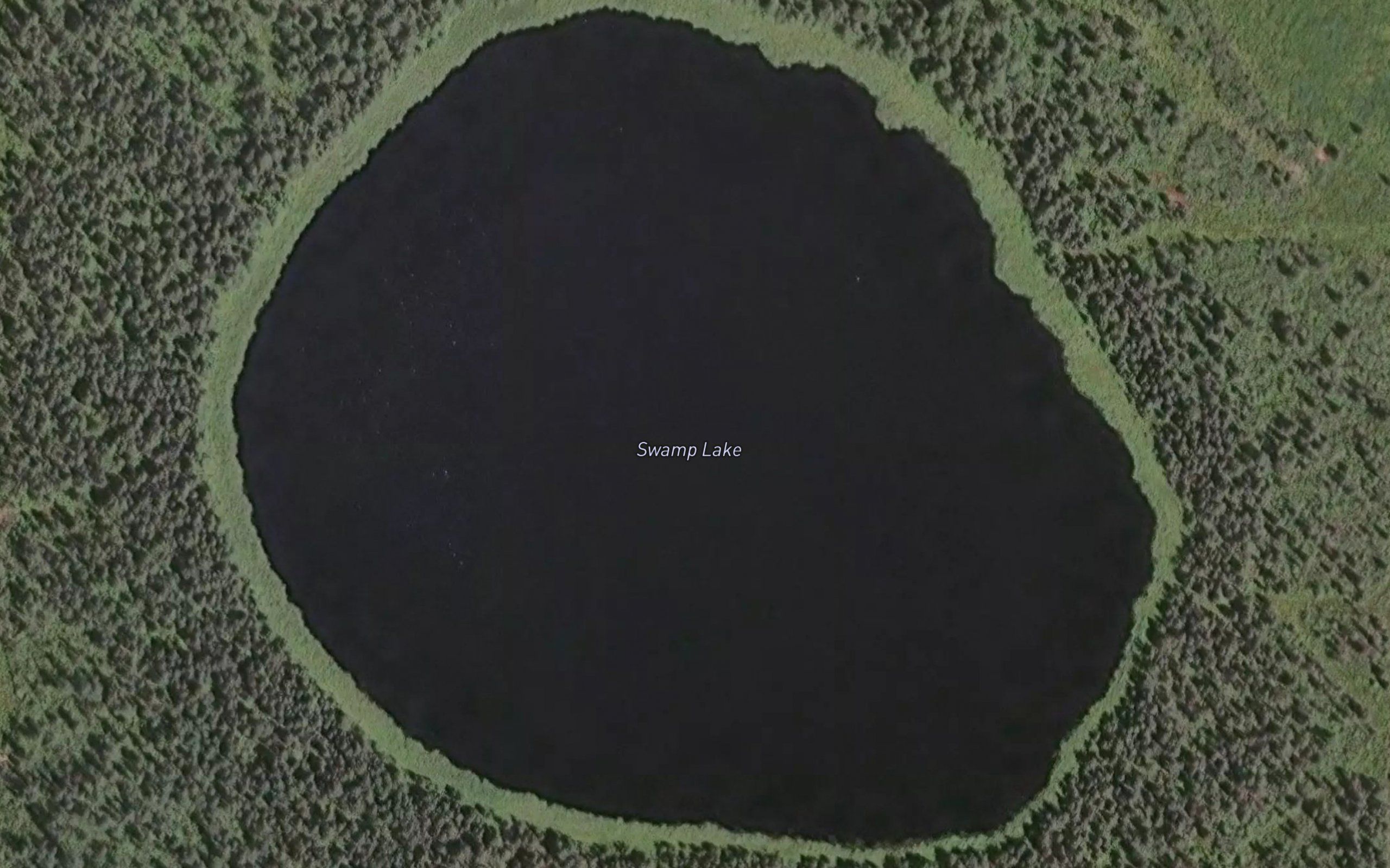 Swamp Lake