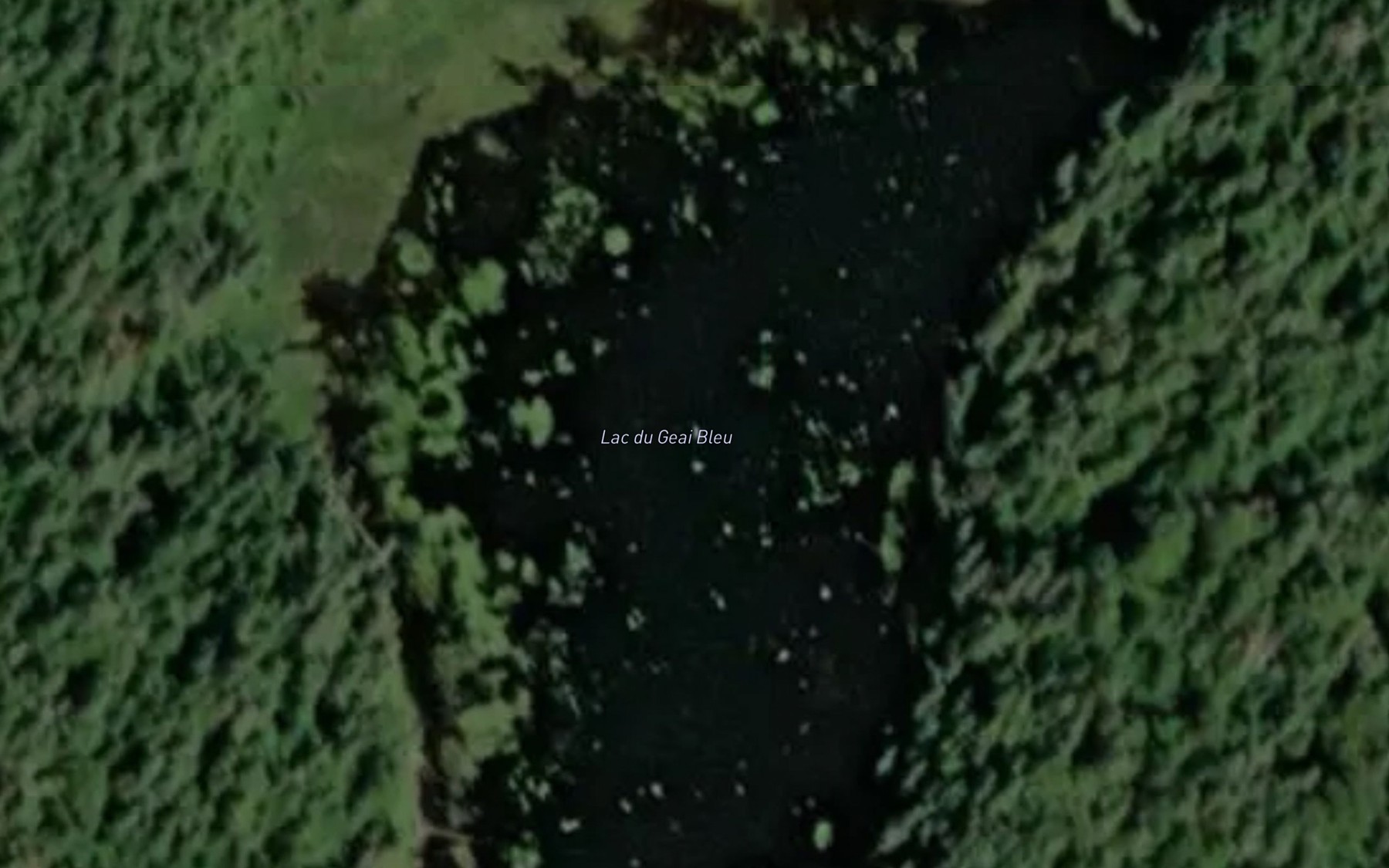 Satellite map of the Lac du Geai Bleu
