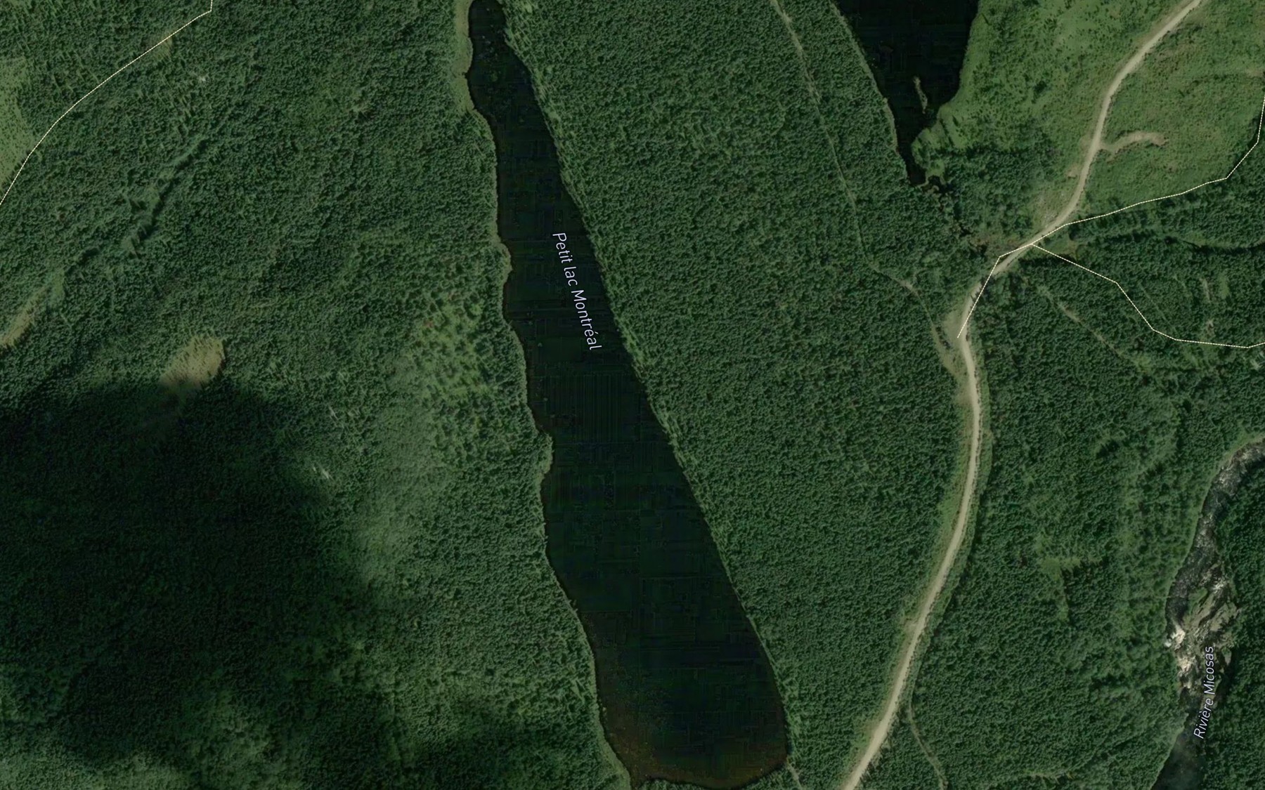 Satellite map of the Petit lac Montreal