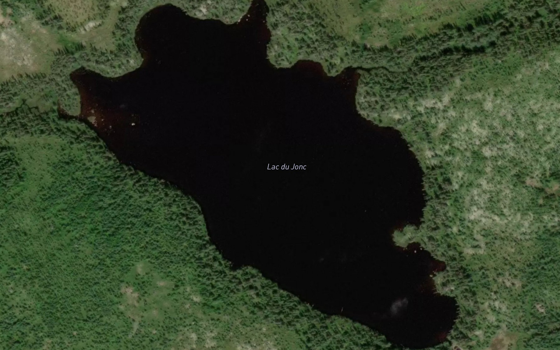 Satellite map of the Lac du Jonc