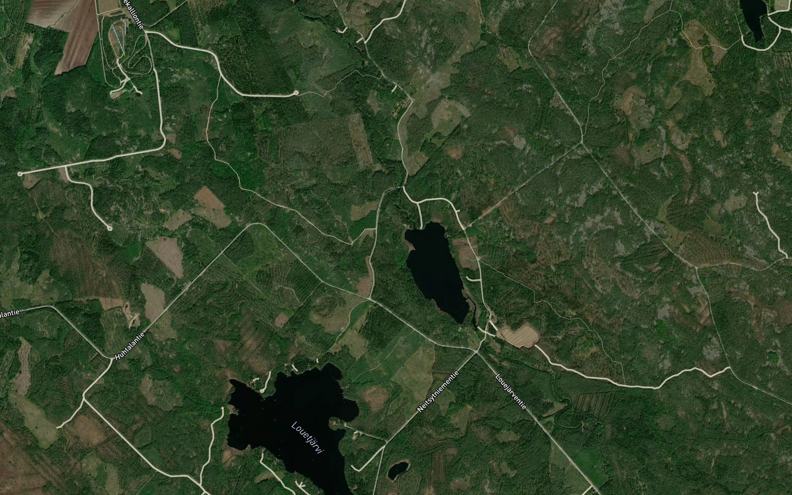 Koira Petaistonjarvi