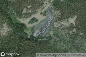 Koster Lake