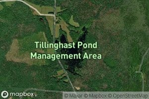 Tillinghast Pond