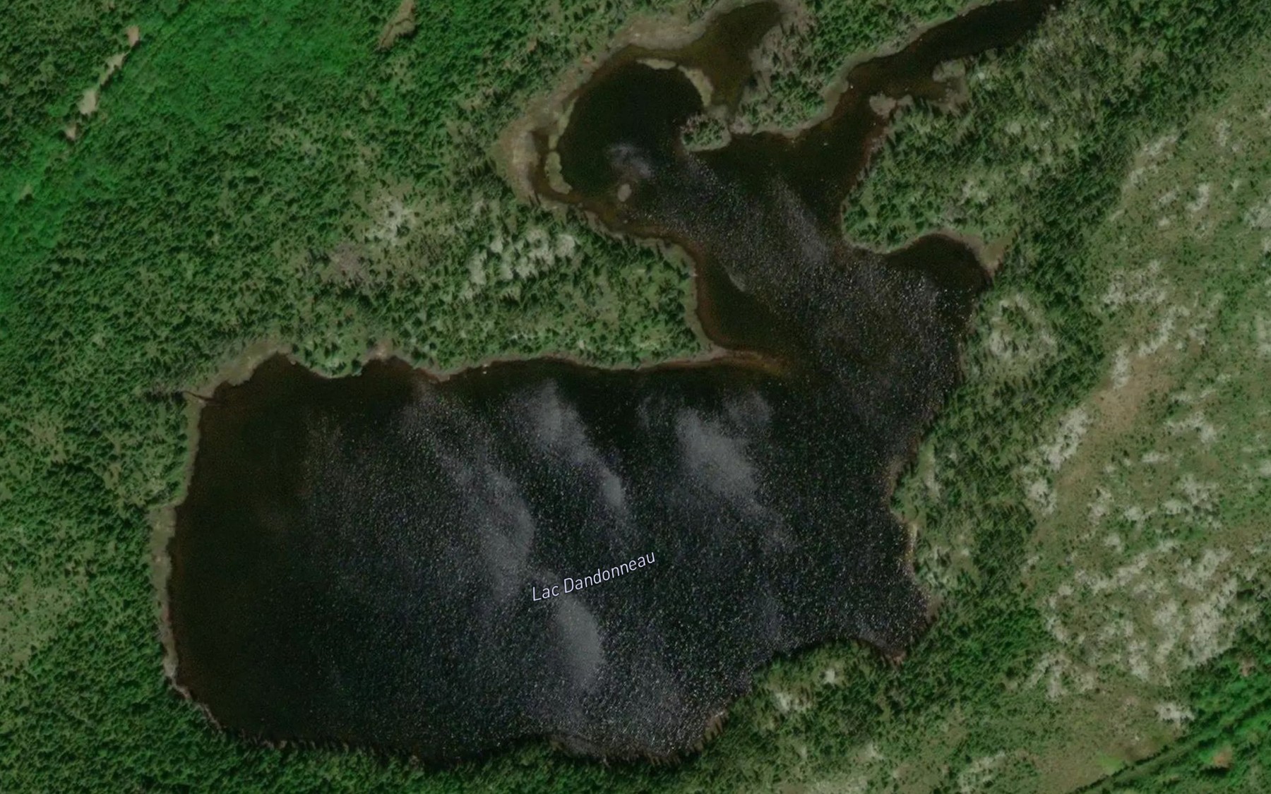 Satellite map of the Lac Dandonneau