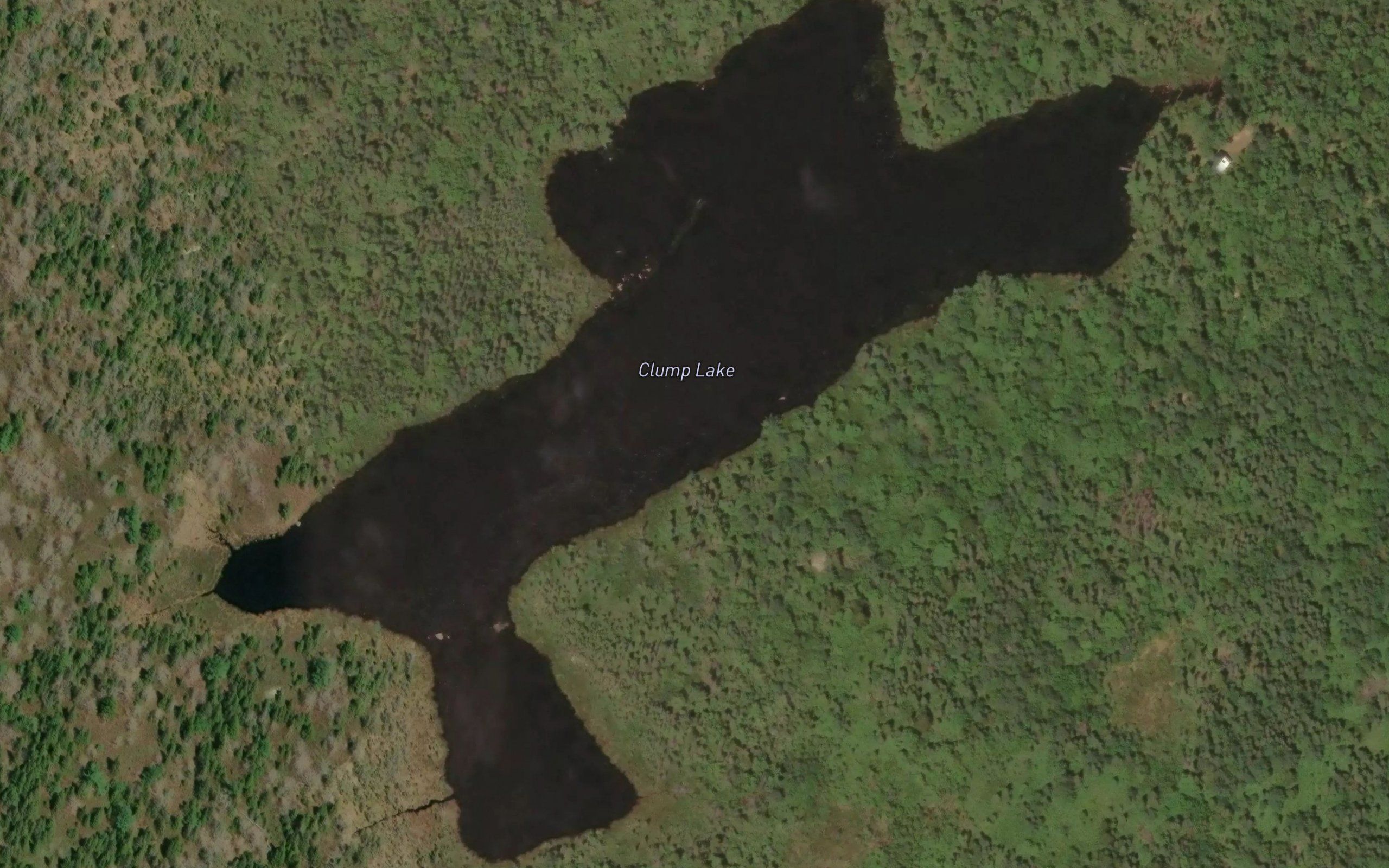 Clump Lake