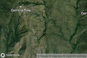 Canada Palma de las Viboras