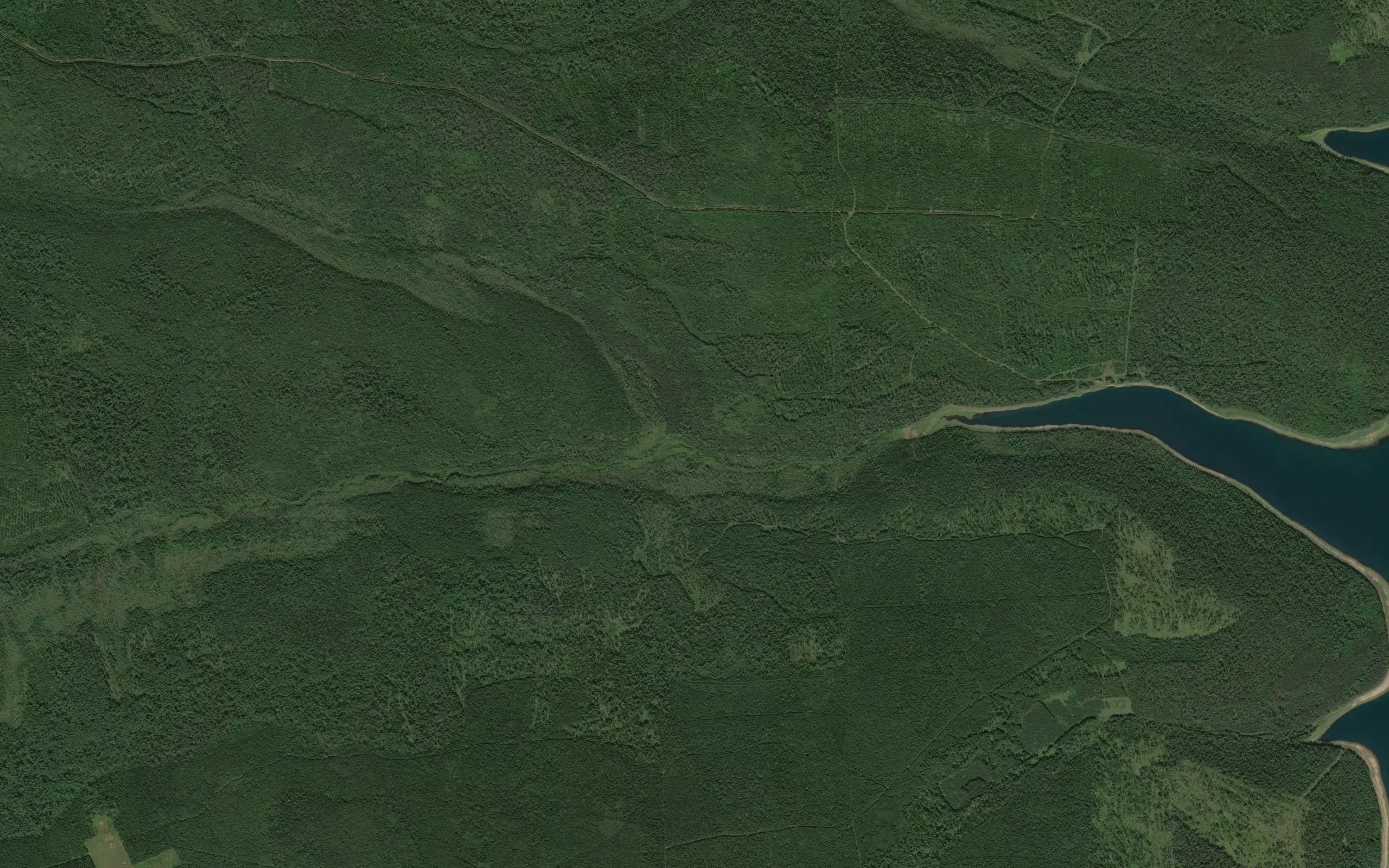 Yegorov