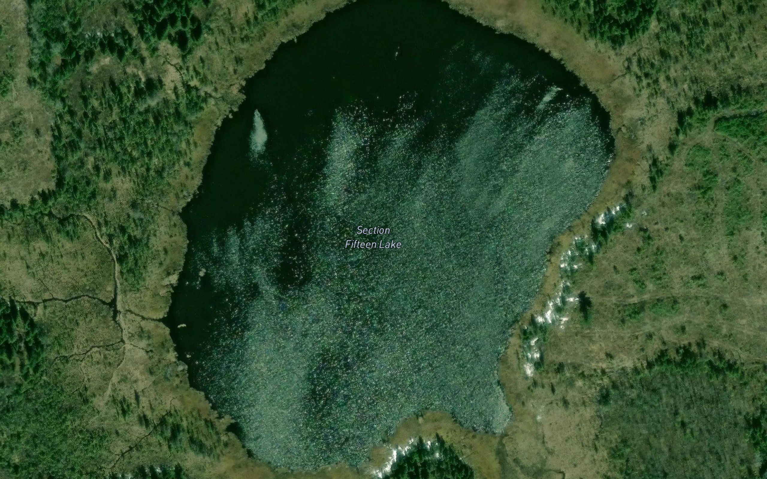 Section Fifteen Lake
