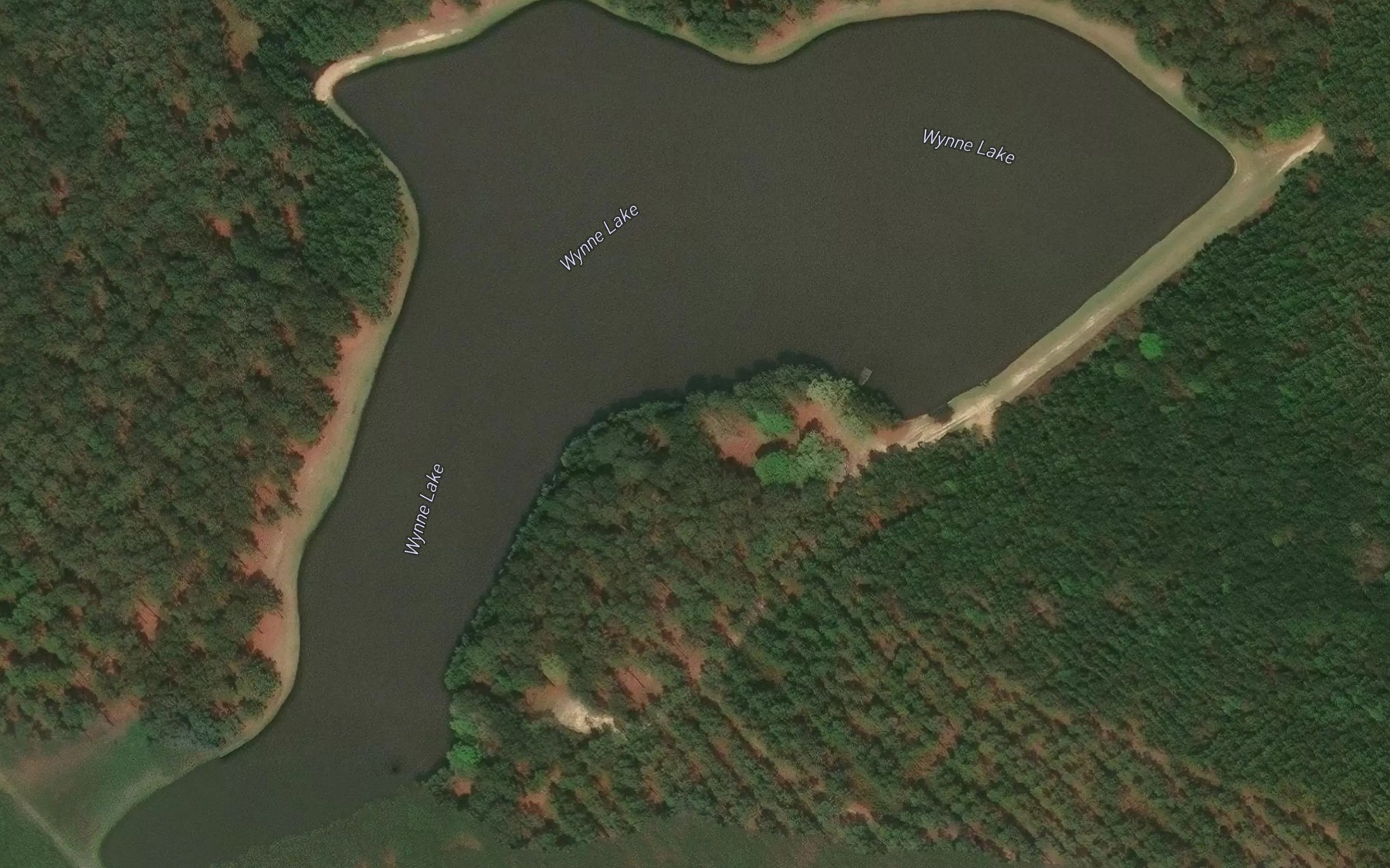 Satellite map of the Wynne Lake
