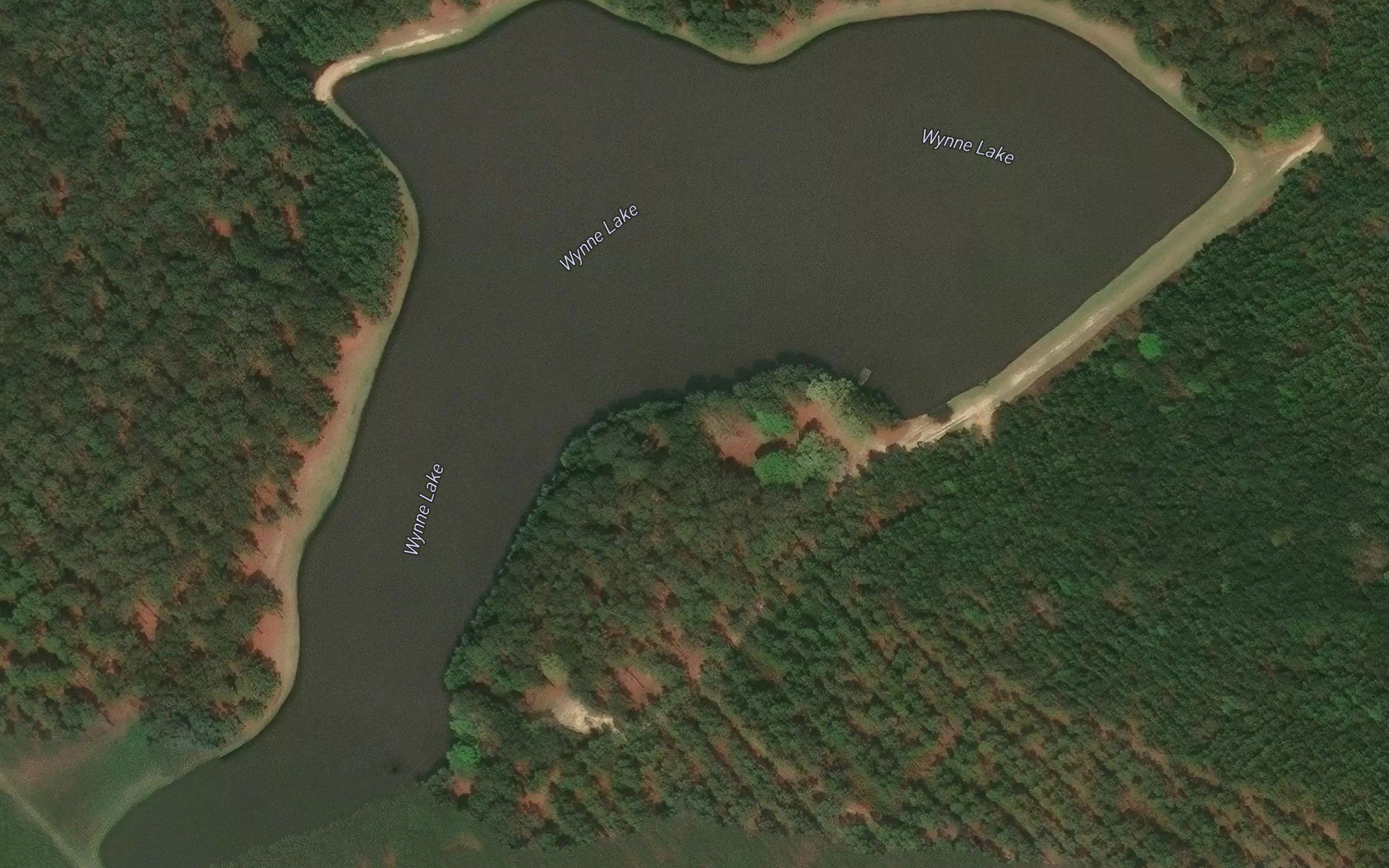 Wynne Lake