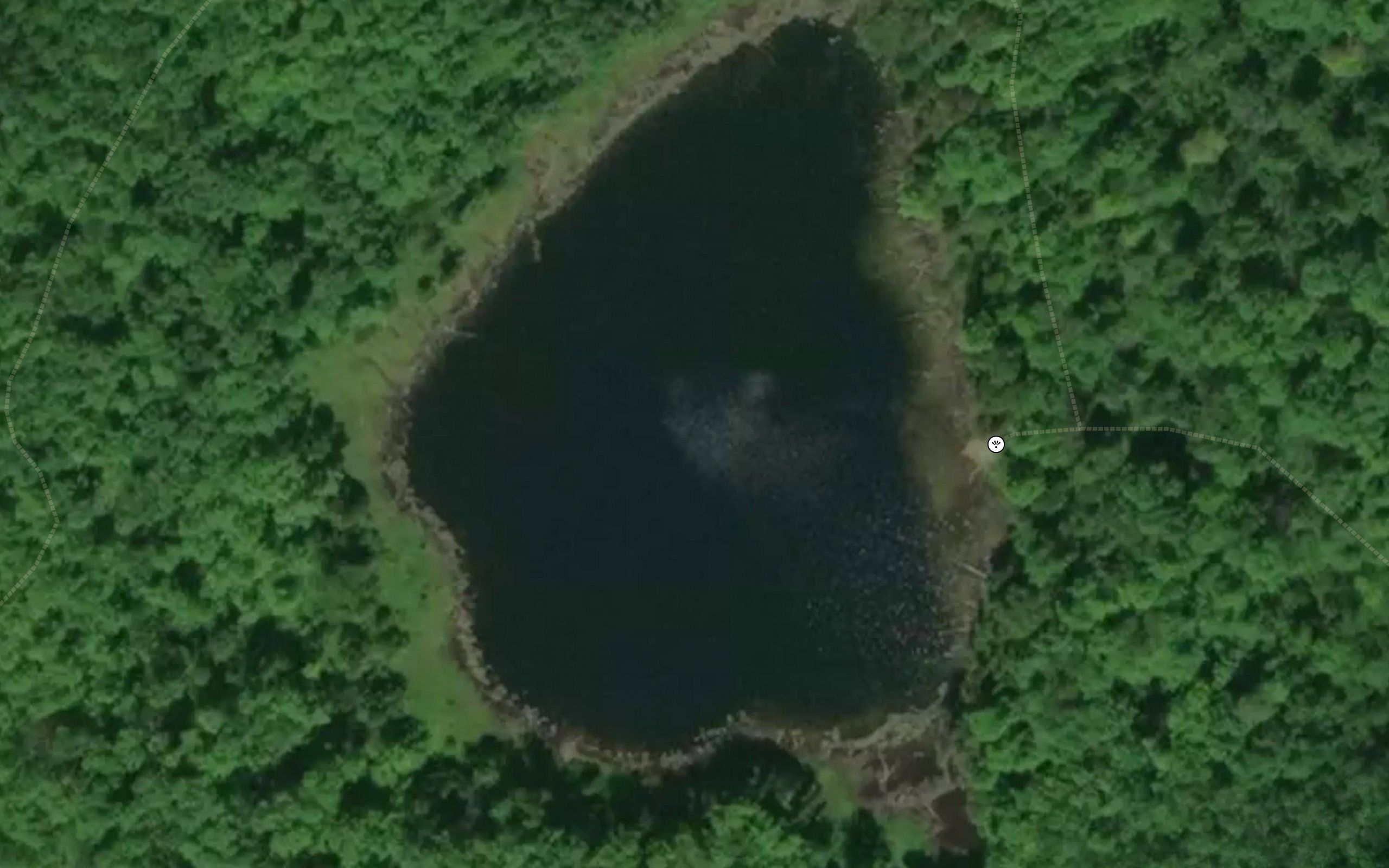McCarston's Lake