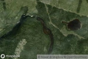 Ruisseau des Oiseaux d'Ete
